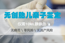 吉林省怀孕了如何办理DNA亲子鉴定，吉林省产前做亲子鉴定办理流程指南