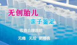 吉林省怀孕如何办理亲子鉴定,吉林省怀孕亲子鉴定办理流程指南 吉林省怀孕如何办理亲子鉴定,吉林省怀孕亲子鉴定办理流程指南