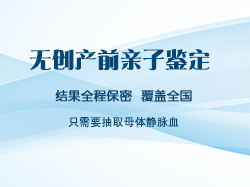 四川省怀孕如何办理DNA鉴定，四川省怀孕亲子鉴定需要什么材料和流程